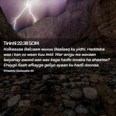 Picture 02 - Tirintii 22:38 SOM - Kolkaasaa Balcaam wuxuu Baalaaq ku yidhi, Haddaba - Bible Verse Picture