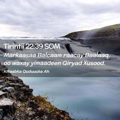 Picture 02 - Tirintii 22:39 SOM - Markaasaa Balcaam raacay Baalaaq, oo waxay - Bible Verse Picture