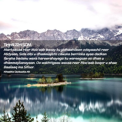 Picture 02 - Tirintii 22:4 SOM - Markaasaa reer Moo'aab waxay ku yidhaahdeen - Bible Verse Picture