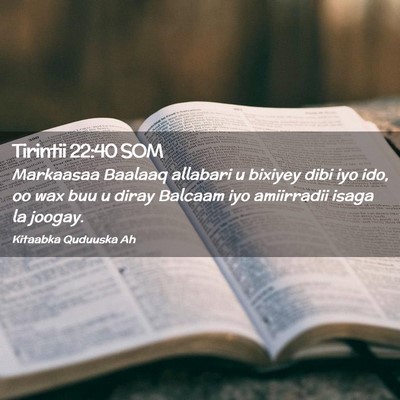 Picture 02 - Tirintii 22:40 SOM - Markaasaa Baalaaq allabari u bixiyey dibi iyo - Bible Verse Picture