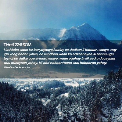 Picture 02 - Tirintii 22:6 SOM - Haddaba waan ku baryayaaye kaalay oo dadkan ii - Bible Verse Picture