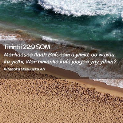 Picture 02 - Tirintii 22:9 SOM - Markaasaa Ilaah Balcaam u yimid, oo wuxuu ku - Bible Verse Picture