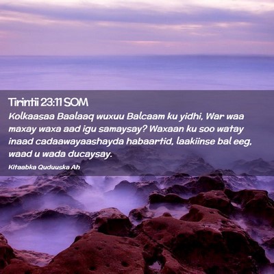 Picture 02 - Tirintii 23:11 SOM - Kolkaasaa Baalaaq wuxuu Balcaam ku yidhi, War waa - Bible Verse Picture
