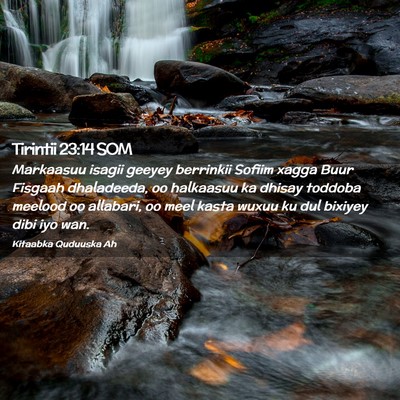 Picture 02 - Tirintii 23:14 SOM - Markaasuu isagii geeyey berrinkii Sofiim xagga - Bible Verse Picture