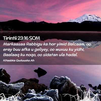 Picture 02 - Tirintii 23:16 SOM - Markaasaa Rabbigu ka hor yimid Balcaam, oo eray - Bible Verse Picture