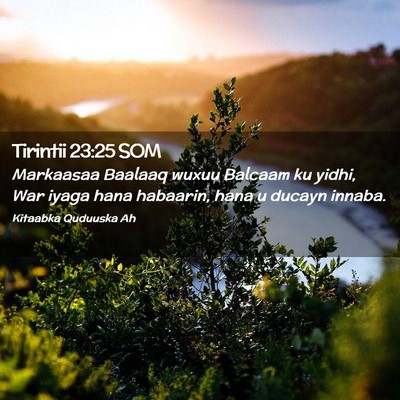 Picture 02 - Tirintii 23:25 SOM - Markaasaa Baalaaq wuxuu Balcaam ku yidhi, War - Bible Verse Picture