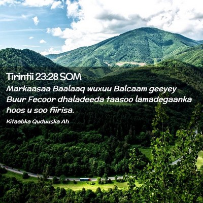 Picture 02 - Tirintii 23:28 SOM - Markaasaa Baalaaq wuxuu Balcaam geeyey Buur - Bible Verse Picture
