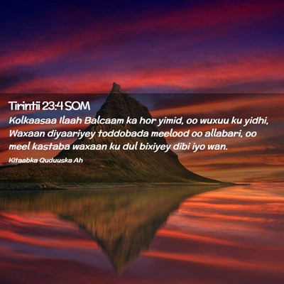 Picture 02 - Tirintii 23:4 SOM - Kolkaasaa Ilaah Balcaam ka hor yimid, oo wuxuu ku - Bible Verse Picture
