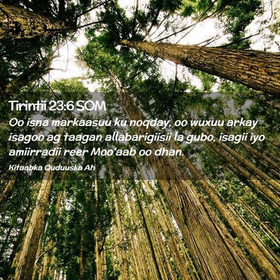 Picture 02 - Tirintii 23:6 SOM - Oo isna markaasuu ku noqday, oo wuxuu arkay - Bible Verse Picture