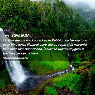 Picture 02 - Tirintii 24:1 SOM - Oo Balcaamna markuu arkay in Rabbigu ku farxay - Bible Verse Picture