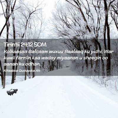 Picture 02 - Tirintii 24:12 SOM - Kolkaasaa Balcaam wuxuu Baalaaq ku yidhi, War - Bible Verse Picture