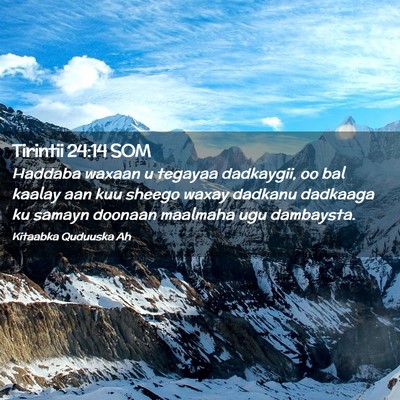 Picture 02 - Tirintii 24:14 SOM - Haddaba waxaan u tegayaa dadkaygii, oo bal kaalay - Bible Verse Picture