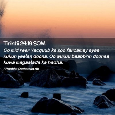 Picture 02 - Tirintii 24:19 SOM - Oo mid reer Yacquub ka soo farcamay ayaa xukun - Bible Verse Picture