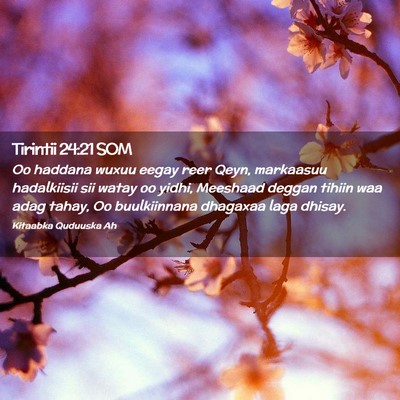 Picture 02 - Tirintii 24:21 SOM - Oo haddana wuxuu eegay reer Qeyn, markaasuu - Bible Verse Picture