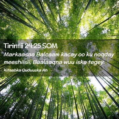 Picture 02 - Tirintii 24:25 SOM - Markaasaa Balcaam kacay oo ku noqday meeshiisii; - Bible Verse Picture
