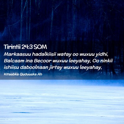 Picture 02 - Tirintii 24:3 SOM - Markaasuu hadalkiisii watay oo wuxuu yidhi, - Bible Verse Picture