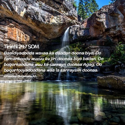 Picture 02 - Tirintii 24:7 SOM - Baaldiyadooda waxaa ka daadan doona biyo, Oo - Bible Verse Picture