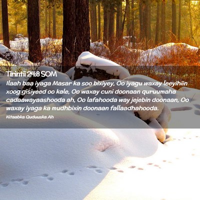 Picture 02 - Tirintii 24:8 SOM - Ilaah baa iyaga Masar ka soo bixiyey, Oo iyagu - Bible Verse Picture