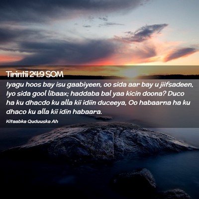Picture 02 - Tirintii 24:9 SOM - Iyagu hoos bay isu gaabiyeen, oo sida aar bay u - Bible Verse Picture