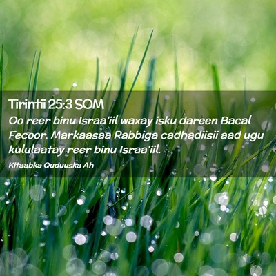 Picture 02 - Tirintii 25:3 SOM - Oo reer binu Israa'iil waxay isku dareen Bacal - Bible Verse Picture