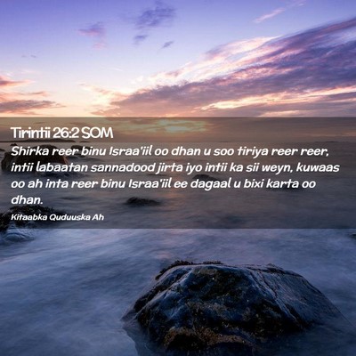 Picture 02 - Tirintii 26:2 SOM - Shirka reer binu Israa'iil oo dhan u soo tiriya - Bible Verse Picture