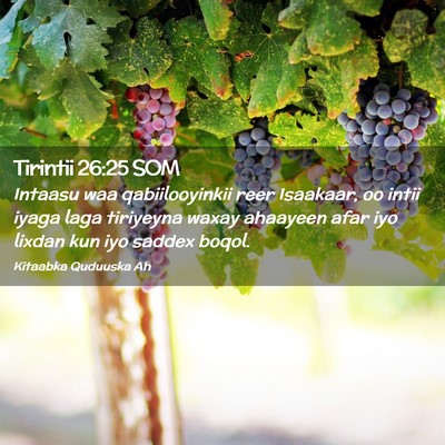 Picture 02 - Tirintii 26:25 SOM - Intaasu waa qabiilooyinkii reer Isaakaar, oo - Bible Verse Picture