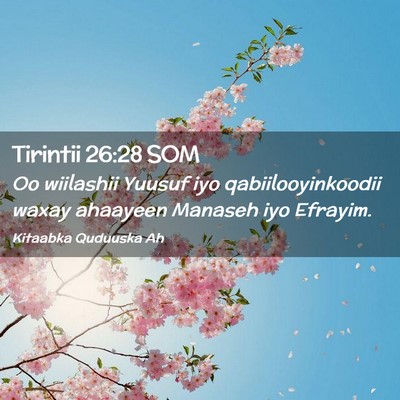Picture 02 - Tirintii 26:28 SOM - Oo wiilashii Yuusuf iyo qabiilooyinkoodii waxay - Bible Verse Picture