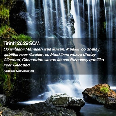 Picture 02 - Tirintii 26:29 SOM - Oo wiilashii Manaseh waa kuwan: Maakiir oo dhalay - Bible Verse Picture