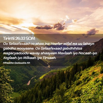 Picture 02 - Tirintii 26:33 SOM - Oo Selaafexaad oo ahaa ina Heefer wiilal ma uu - Bible Verse Picture