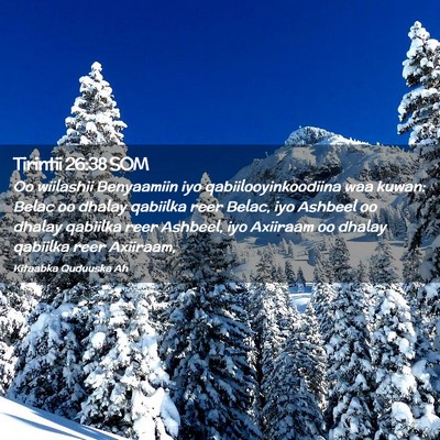 Picture 02 - Tirintii 26:38 SOM - Oo wiilashii Benyaamiin iyo qabiilooyinkoodiina - Bible Verse Picture