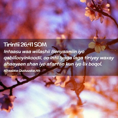 Picture 02 - Tirintii 26:41 SOM - Intaasu waa wiilashii Benyaamiin iyo - Bible Verse Picture