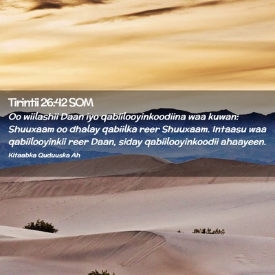 Picture 02 - Tirintii 26:42 SOM - Oo wiilashii Daan iyo qabiilooyinkoodiina waa - Bible Verse Picture