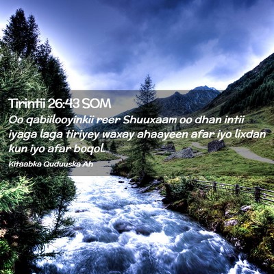 Picture 02 - Tirintii 26:43 SOM - Oo qabiilooyinkii reer Shuuxaam oo dhan intii - Bible Verse Picture
