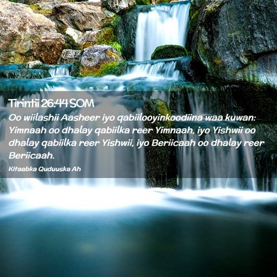 Picture 02 - Tirintii 26:44 SOM - Oo wiilashii Aasheer iyo qabiilooyinkoodiina waa - Bible Verse Picture