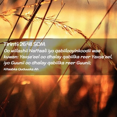 Picture 02 - Tirintii 26:48 SOM - Oo wiilashii Naftaali iyo qabiilooyinkoodii waa - Bible Verse Picture