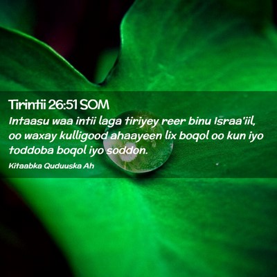 Picture 02 - Tirintii 26:51 SOM - Intaasu waa intii laga tiriyey reer binu - Bible Verse Picture