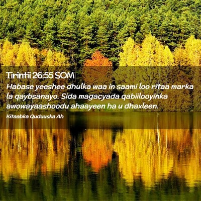 Picture 02 - Tirintii 26:55 SOM - Habase yeeshee dhulka waa in saami loo ritaa - Bible Verse Picture
