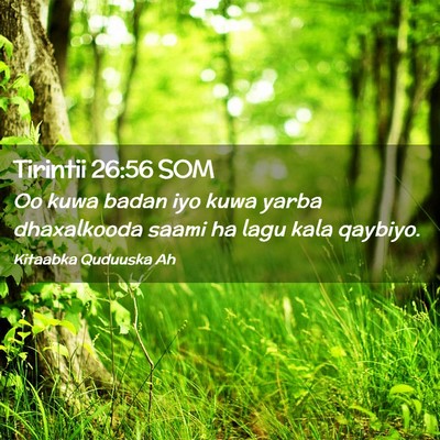 Picture 02 - Tirintii 26:56 SOM - Oo kuwa badan iyo kuwa yarba dhaxalkooda saami ha - Bible Verse Picture