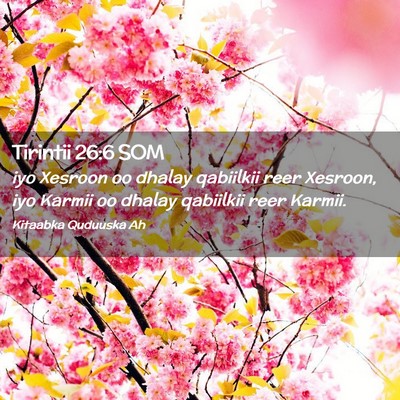 Picture 02 - Tirintii 26:6 SOM - iyo Xesroon oo dhalay qabiilkii reer Xesroon, iyo - Bible Verse Picture