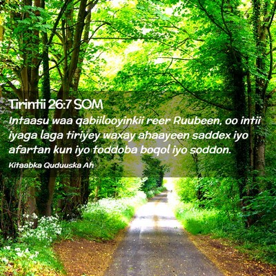 Picture 02 - Tirintii 26:7 SOM - Intaasu waa qabiilooyinkii reer Ruubeen, oo intii - Bible Verse Picture