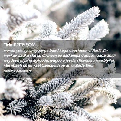 Picture 02 - Tirintii 27:14 SOM - maxaa yeelay, eraygayga baad kaga caasideen - Bible Verse Picture