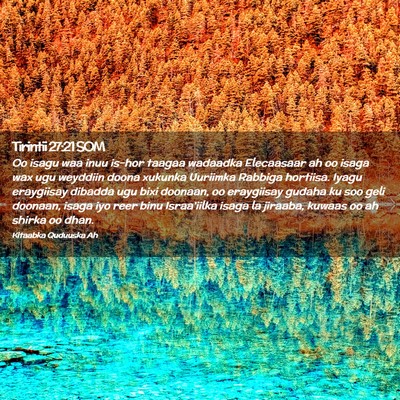 Picture 02 - Tirintii 27:21 SOM - Oo isagu waa inuu is-hor taagaa wadaadka - Bible Verse Picture