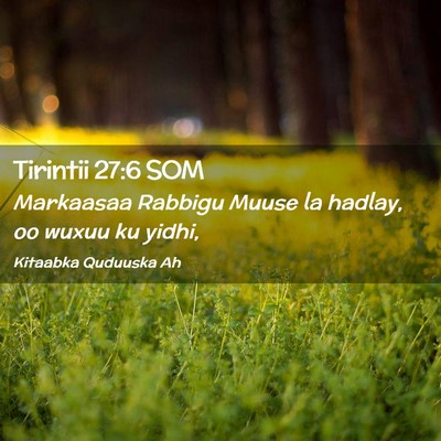 Picture 02 - Tirintii 27:6 SOM - Markaasaa Rabbigu Muuse la hadlay, oo wuxuu ku - Bible Verse Picture