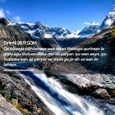 Picture 02 - Tirintii 28:11 SOM - Oo bilowga bilihiinnana waa inaad Rabbiga qurbaan - Bible Verse Picture