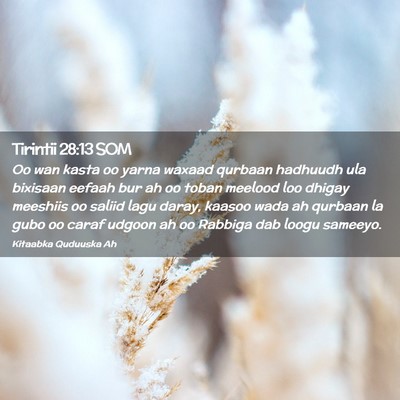 Picture 02 - Tirintii 28:13 SOM - Oo wan kasta oo yarna waxaad qurbaan hadhuudh ula - Bible Verse Picture