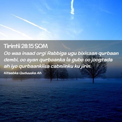 Picture 02 - Tirintii 28:15 SOM - Oo waa inaad orgi Rabbiga ugu bixisaan qurbaan - Bible Verse Picture