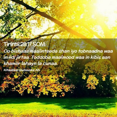 Picture 02 - Tirintii 28:17 SOM - Oo bishaas maalinteeda shan iyo tobnaadna waa in - Bible Verse Picture