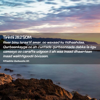 Picture 02 - Tirintii 28:2 SOM - Reer binu Israa'iil amar, oo waxaad ku - Bible Verse Picture