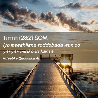 Picture 02 - Tirintii 28:21 SOM - iyo meeshiisna toddobada wan oo yaryar midkood - Bible Verse Picture