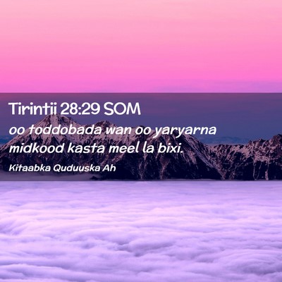Picture 02 - Tirintii 28:29 SOM - oo toddobada wan oo yaryarna midkood kasta meel - Bible Verse Picture